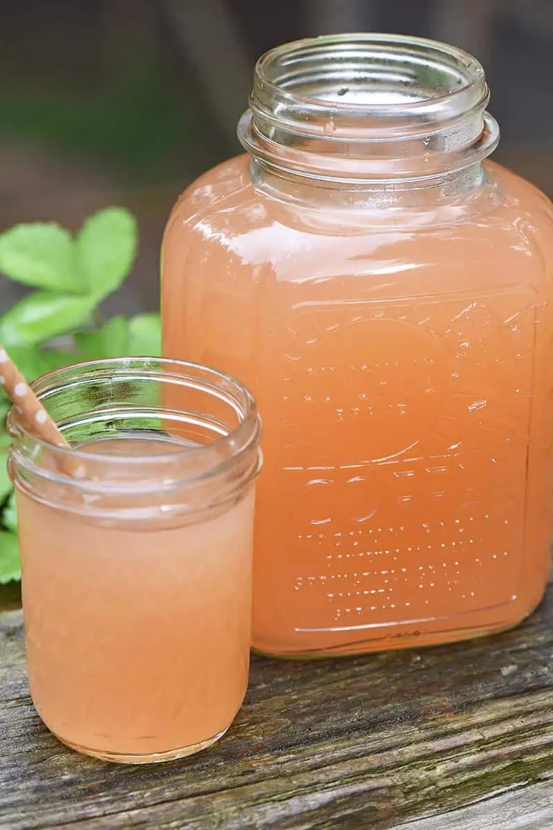 Apple Juice